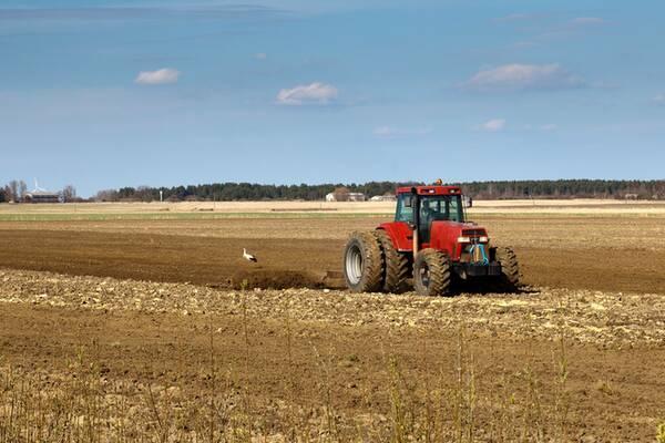farm-diversification-600 farm-diversification-600