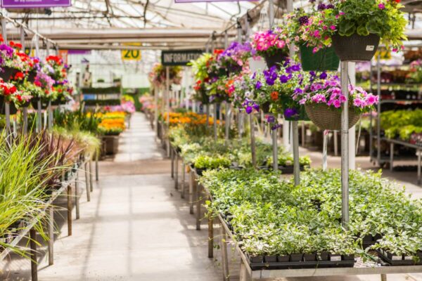 indoor-garden-centre-1200 garden centre loans