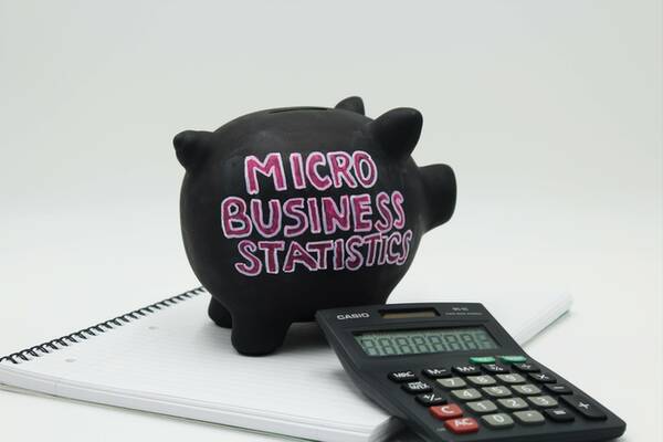 micro business statistics