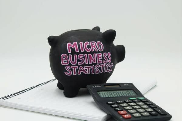 micro-business-statistics-one-600 micro business statistics