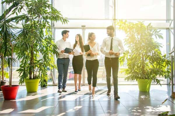 eco-friendly-office-600 eco-friendly-office-600