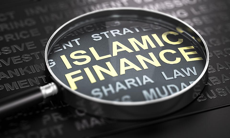 A magnifier representing the detailed exploration of Halal loans.